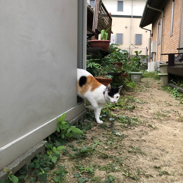 D21e9195 5e15 4c35 a3bb c242f931cd3d 1634767558271