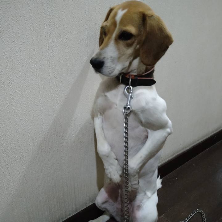 D21ebb0a b72c 4900 a37d fe552c261247 1642176943126