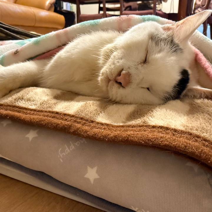 D21ec326 e69b 451b 81d8 95896fdd7a82 1761295321009