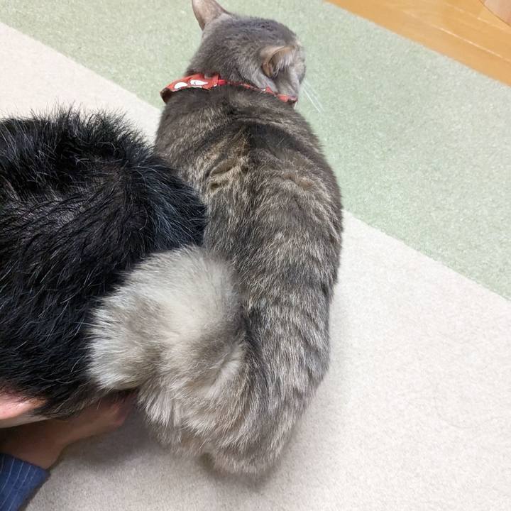 D21ec892 a955 44ac 80ed 8d93e2cfb281 1677474012985