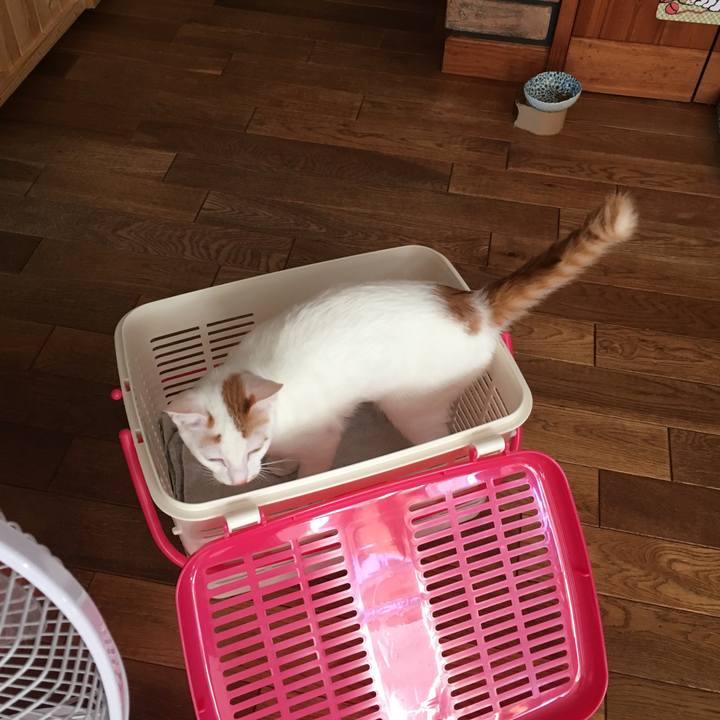 D21edc5d 9fed 4edb b021 f29a42e826c9 1508914049332