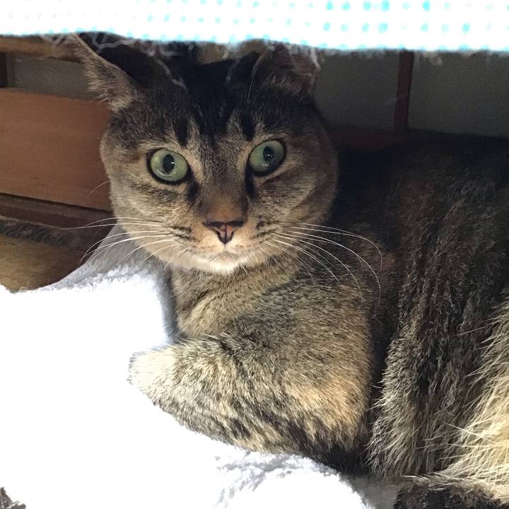 D21eedf4 c494 40ac 9cca d1b9d026c35c 1656846126159