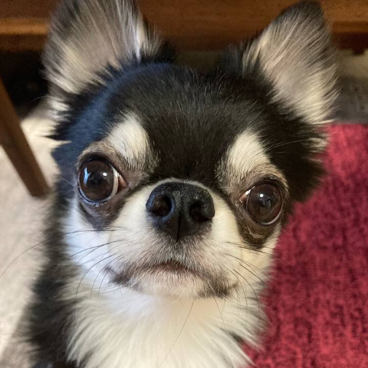 D21f39f9 d5e2 4584 b388 f3d5dd6d80b8 1619214513723