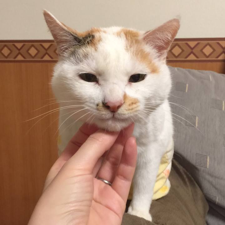 D21f6314 79ea 4371 aa4e 241e746a65ca 1512394425612