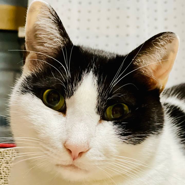 D21f64ca 3aa4 48b8 8f86 280b1b4644ff 1607134154888