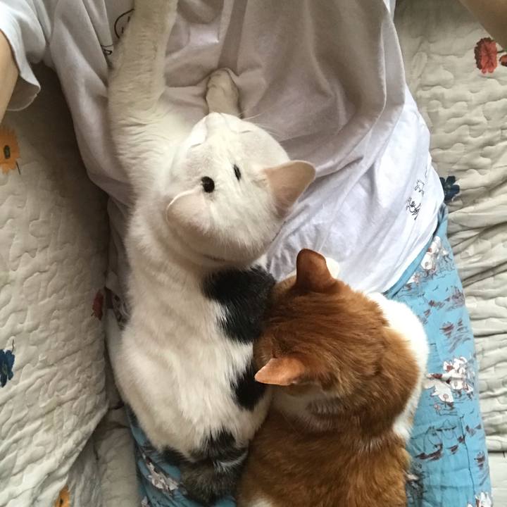 D21f7630 af7f 4194 b362 9fc7258bae46 1591485388824