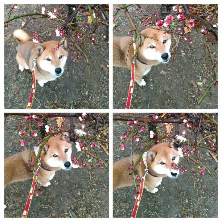 D21fb1cb 7d95 4554 bb49 5608f1530a77 1519346980976