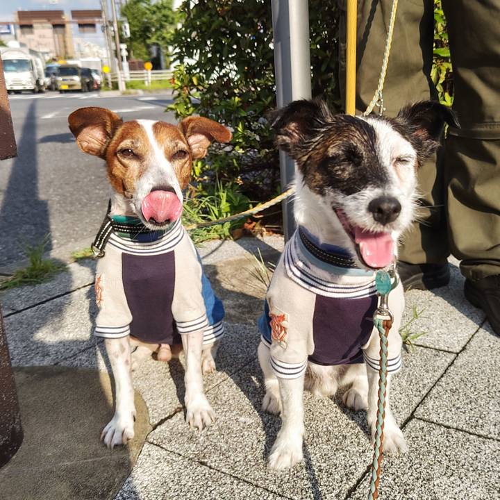 D21fbaee 283a 482f a7ea f40c910af6e3 1723154569179