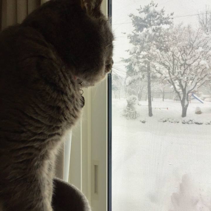 D21fea8b f239 4bc2 8ed3 fd6374d9d220 1549619350708