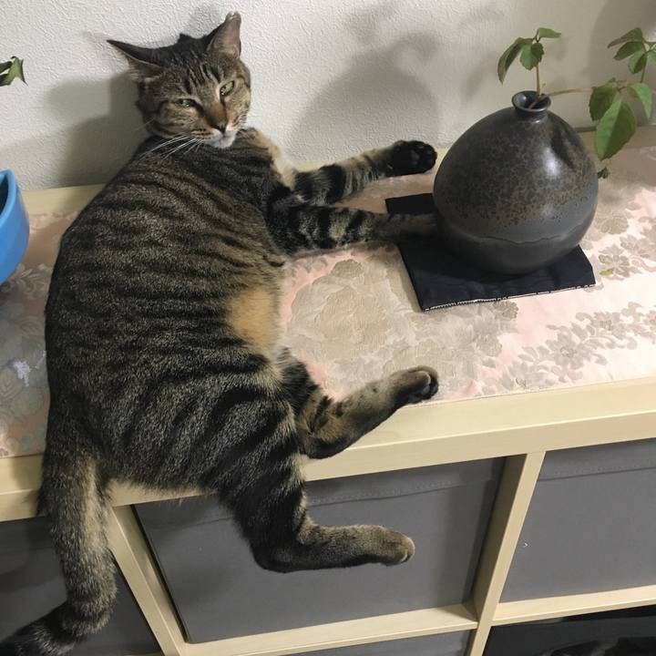 D2201683 5f4c 4cdd 83fe b78d6ca8af3a 1532747380750