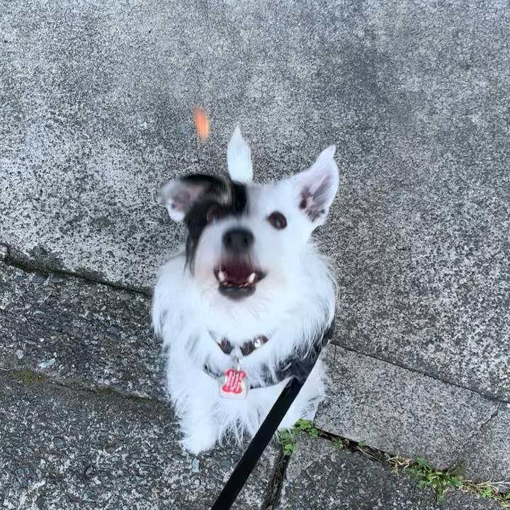 D220c822 a762 4a93 9027 4d0a37c5ef3f 1698967932416