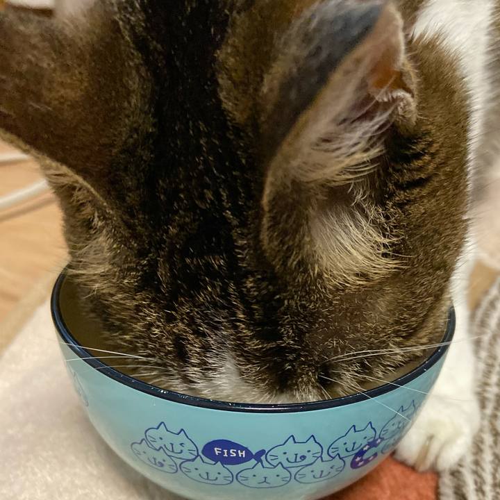 D220e001 5ad8 4b92 881c 906bc116a84a 1574072977636