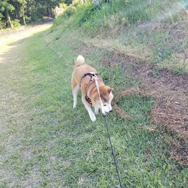 D22123fe 1921 49a4 a93f 3b90af214266 1715240251344