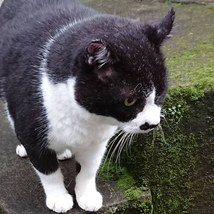 D2213569 119e 475a b056 ab9a4004031c 1602369166256