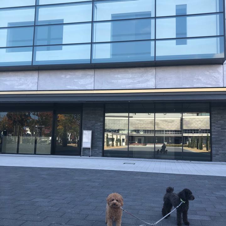 D2213806 185e 4d4c a9ca 5ff74718a2f9 1605619122003