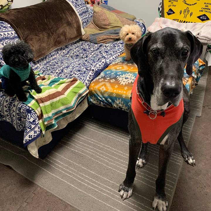 D221416d 159a 4992 b8d8 f124b5ff25ac 1583101739678