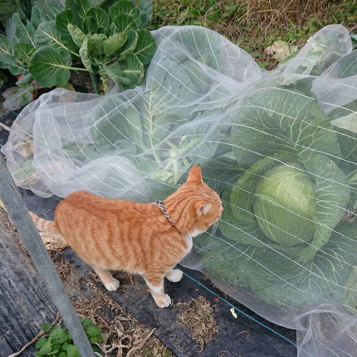 D2217853 bc80 4e65 aa89 b7db3f91a31c 1573285674761