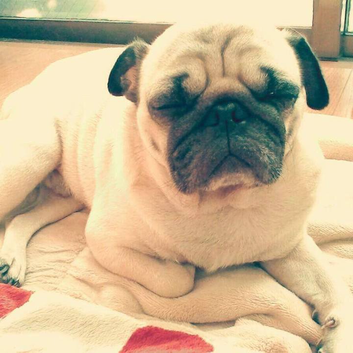 D2218d4f 16d2 4b44 b8f2 e05b659477b1 1513043586353