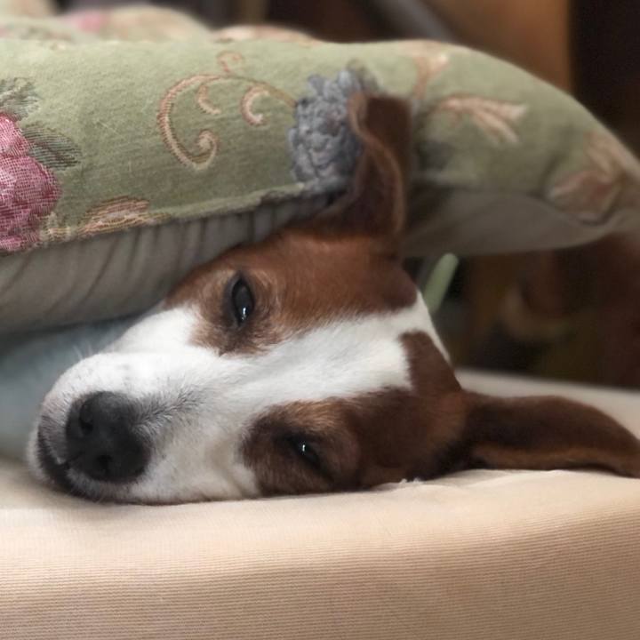 D22190c3 e9d5 4539 a1d3 4d124abd95d8 1683598265325