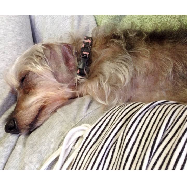 D221a250 1266 48ab 9e31 7b1045cec7c4 1522205501321