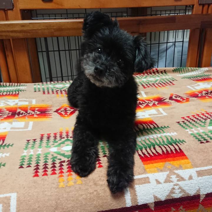 D221ab65 dc14 4fd6 b0fe 0719ed6ee77e 1595067122429