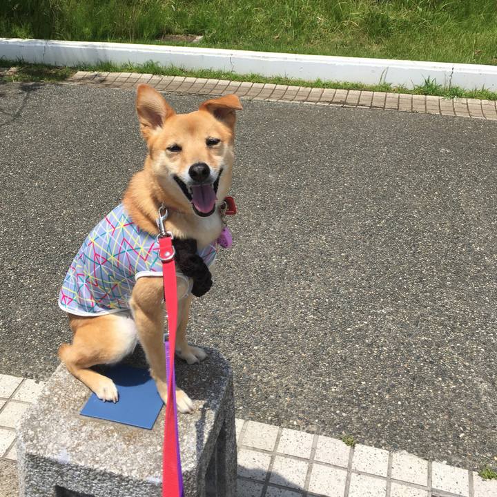 D22212bb 9c55 4984 82ba c2ecc707f0c2 1558838618912