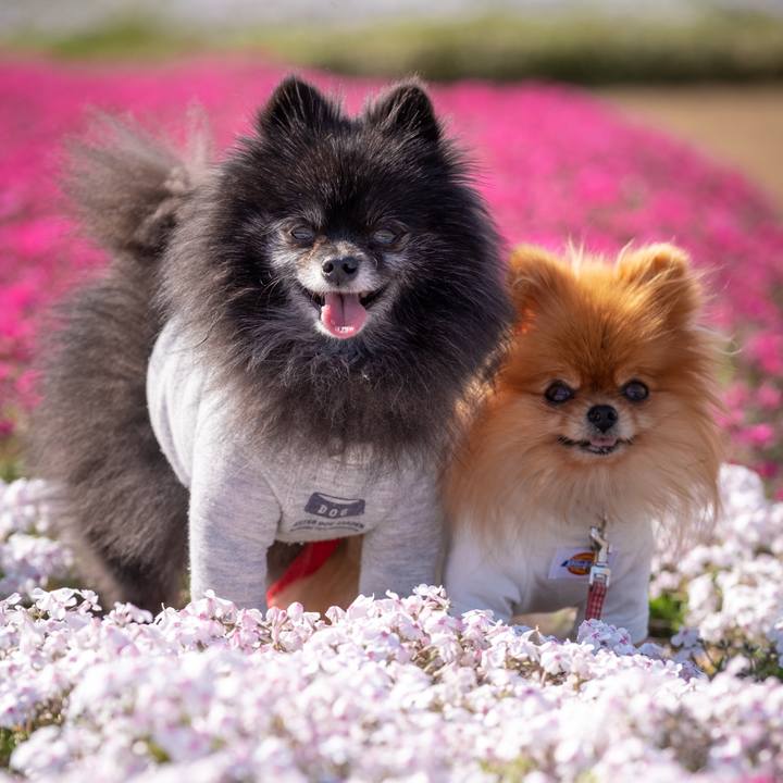 D2222b49 bae9 4f98 bed4 3e9b44583606 1620884533721