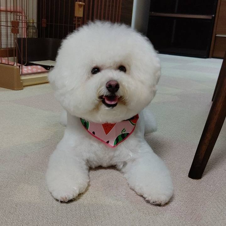 D2223d3b f757 4f73 a28a d3b0d90ed083 1595933317771