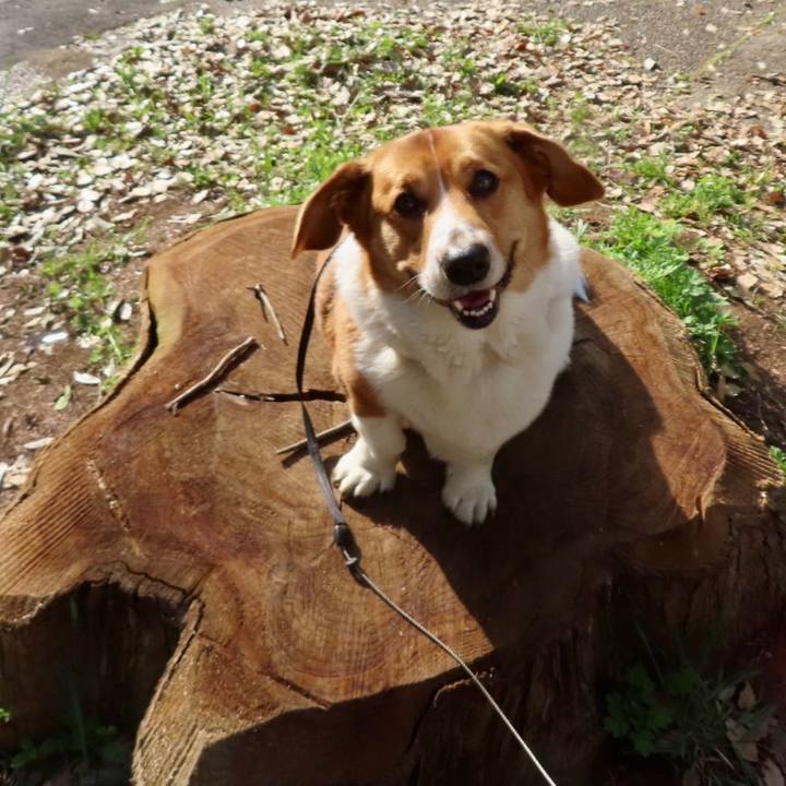 D2224677 4ba5 4c62 ac75 bb0272fc1857 1682555983246