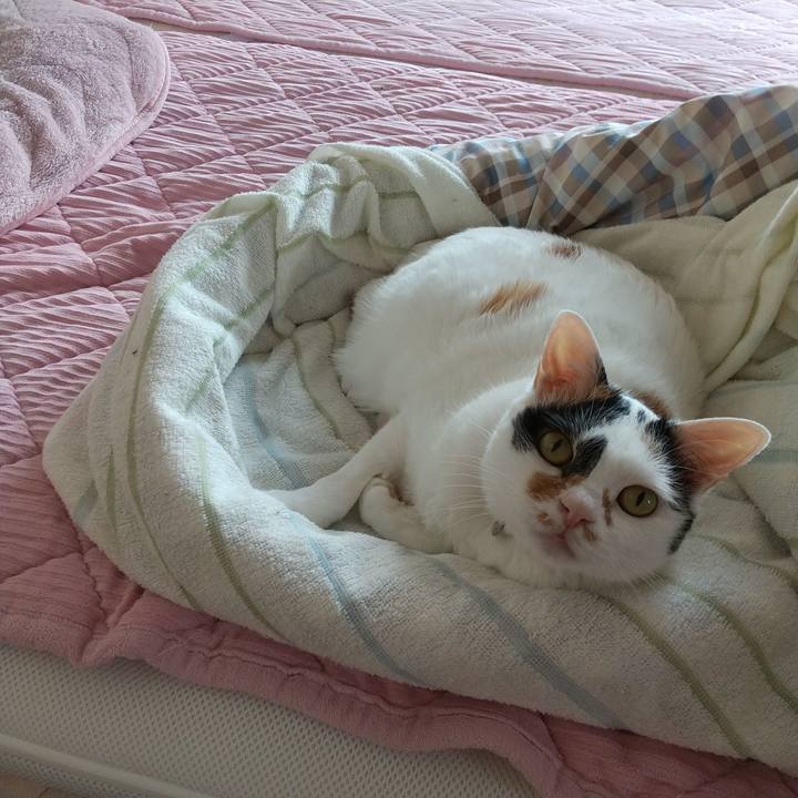 D2224e60 9c66 4ba3 b8db 20e3a8f58f2d 1622610827608