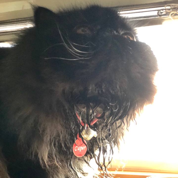 D2225d79 cdca 463f 974a 6ddd9b7404b8 1559808264736