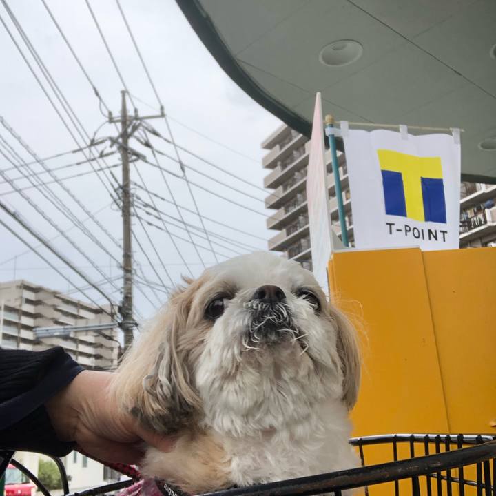 D2226898 0779 44a0 ace7 5a74bff59059 1555451180048