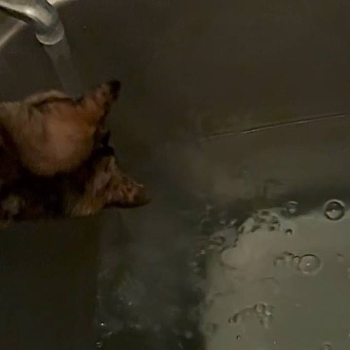 D2229325 9659 4da8 a511 041cbd94ea88 1744229700565