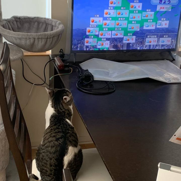 D222d0c3 ae6c 4036 bd8d 6252acf72d90 1712185047942