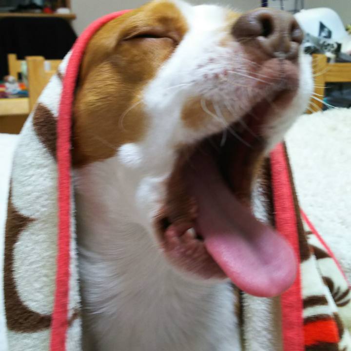 D222e67c aab7 4849 ba40 b88bfb393e90 1519043288030