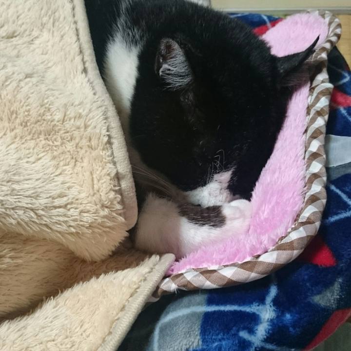 D222efea 562a 4328 b5d2 27f2ab2b4347 1508497910784