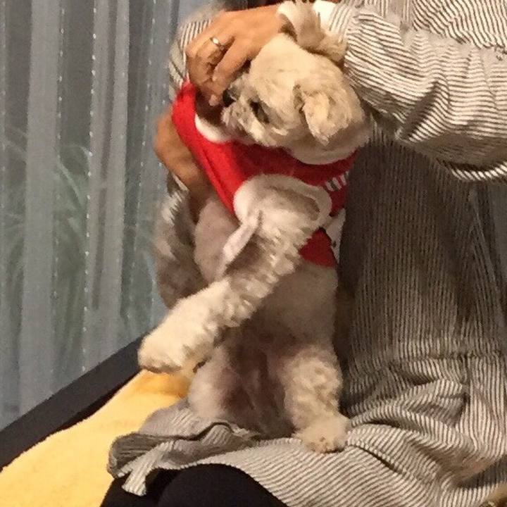 D222faee b63b 4191 9cf8 384a44f80661 1508418525279