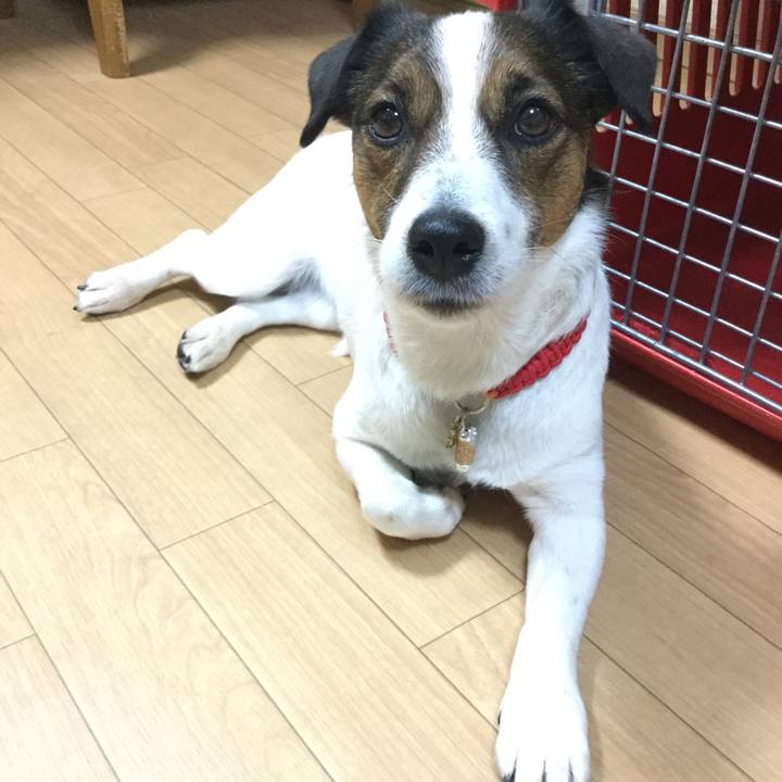 D223051c e4d1 4a69 bc86 f098808a26b1 1554846993116