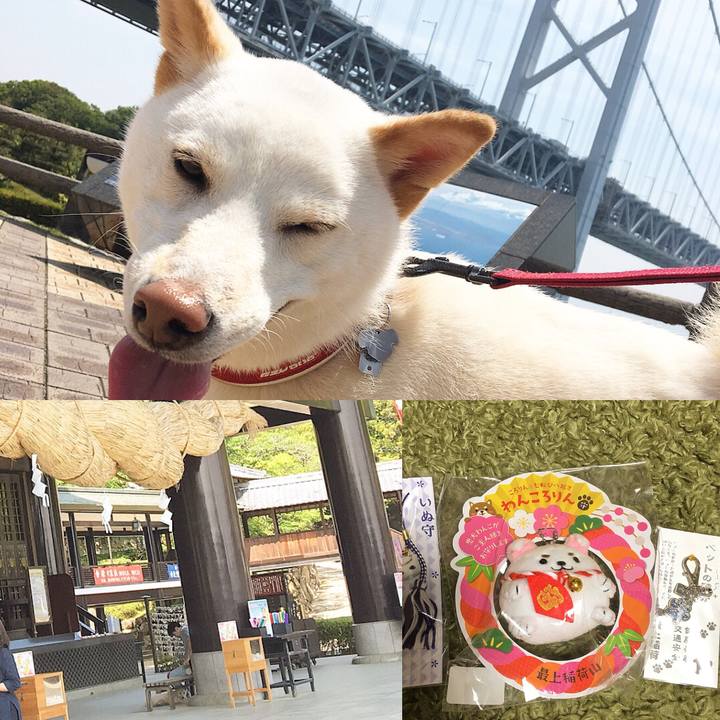 D223116e 3007 4133 b3b3 be43ae566b85 1525681488061