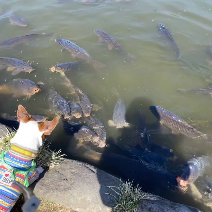 D22316e4 737f 40cc a26f a992a1ead1d7 1681642997454