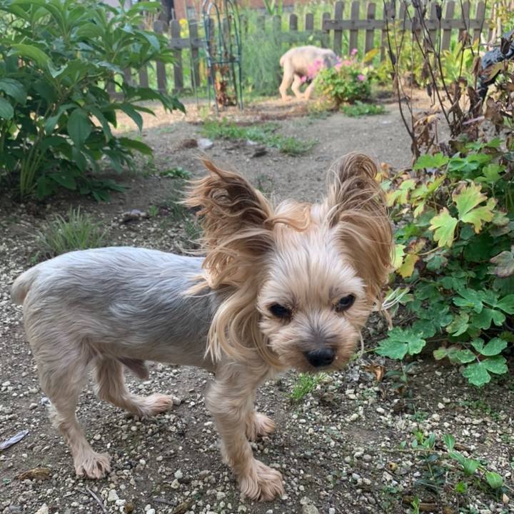 D2231886 9853 41a9 9138 994aec1ad353 1630664290409