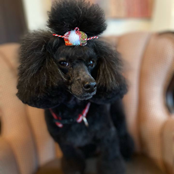 D2233042 ccfc 43ce bb2b 17e6b624f249 1640834734657