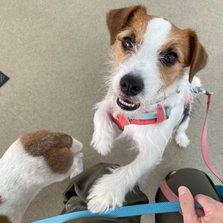 D223898d 50f8 4cc5 9436 7bc9623958f4 1723952778351