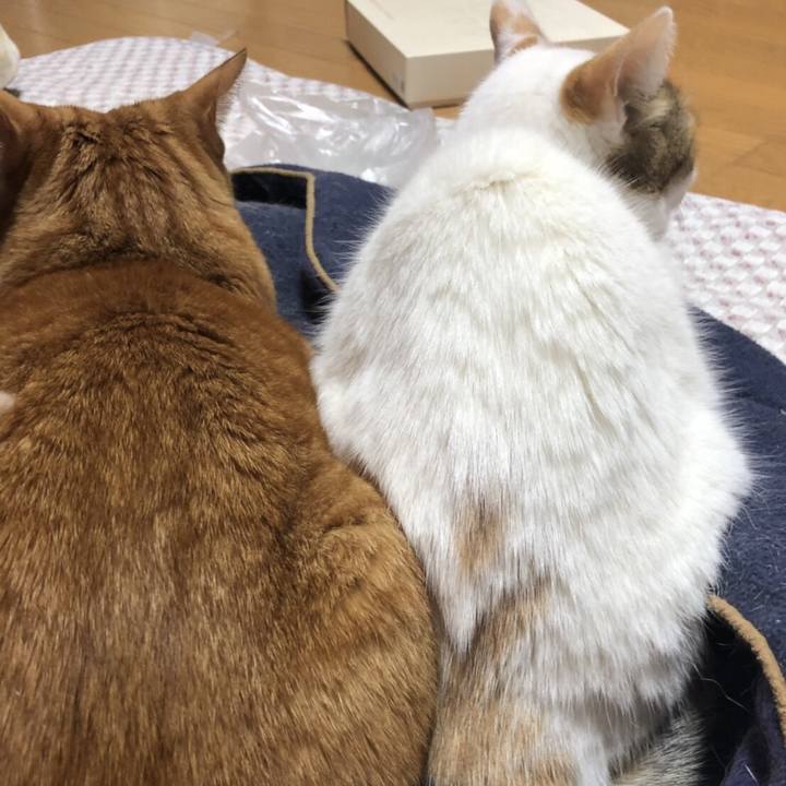 D2239812 0cc5 4a9e 8e19 d8606326e7ba 1515115805959