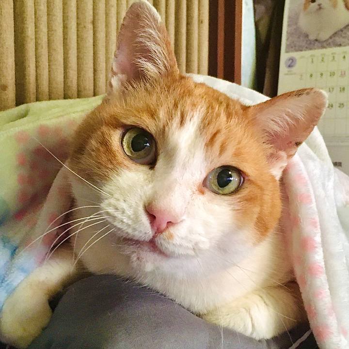 D2239826 36cc 425b bec1 6687a0bdbd2a 1614823332073