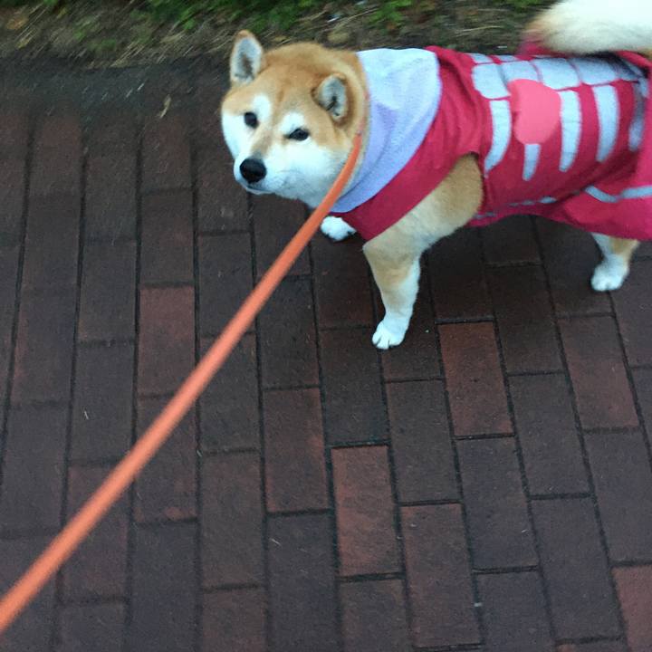 D223bc7a bd76 49b9 9490 52703fd43f57 1574462169510