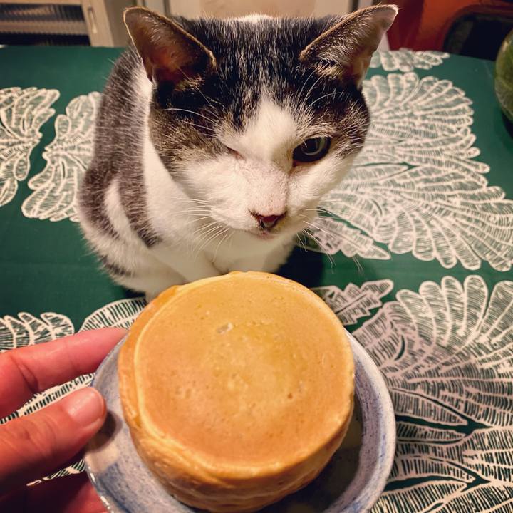 D223d0ee dcbf 4301 8481 1ea84605d450 1638780869963