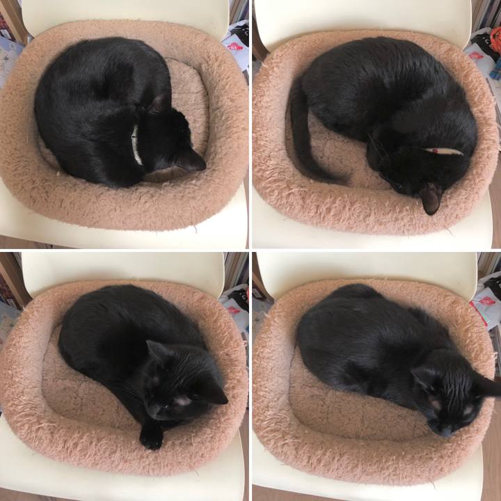 D223d102 e97a 49a7 83b5 6811bfbaef2b 1615900507760