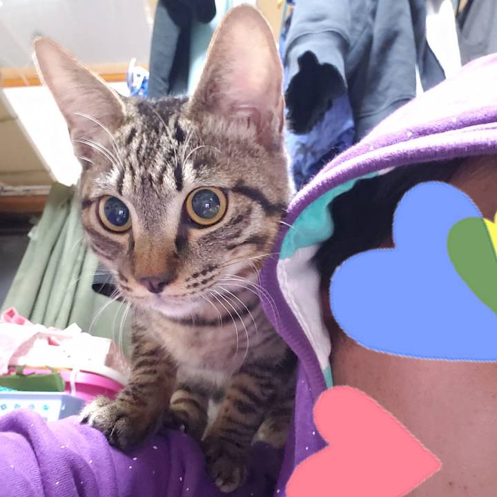 D2240978 33f4 4611 8787 11df8a21870a 1548071980403