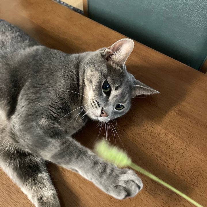 D2240ae3 3016 4e73 a584 9126bbf2f5d5 1662505467895